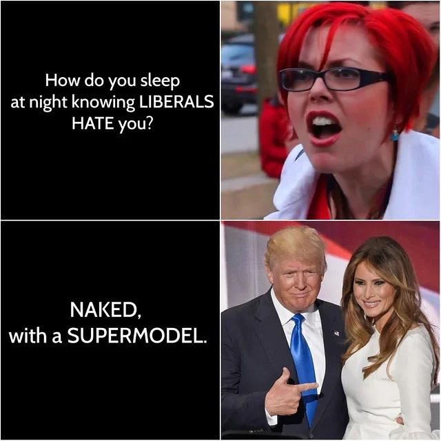 Meme divulgato dal profilo Instagram di the_typical_liberal